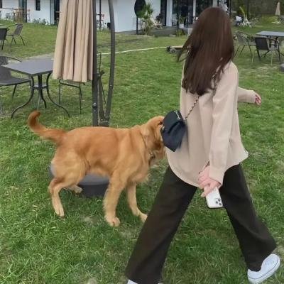 狂奔天涯